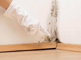 Best Water Damage & Mold Remediation  in Troy, TX